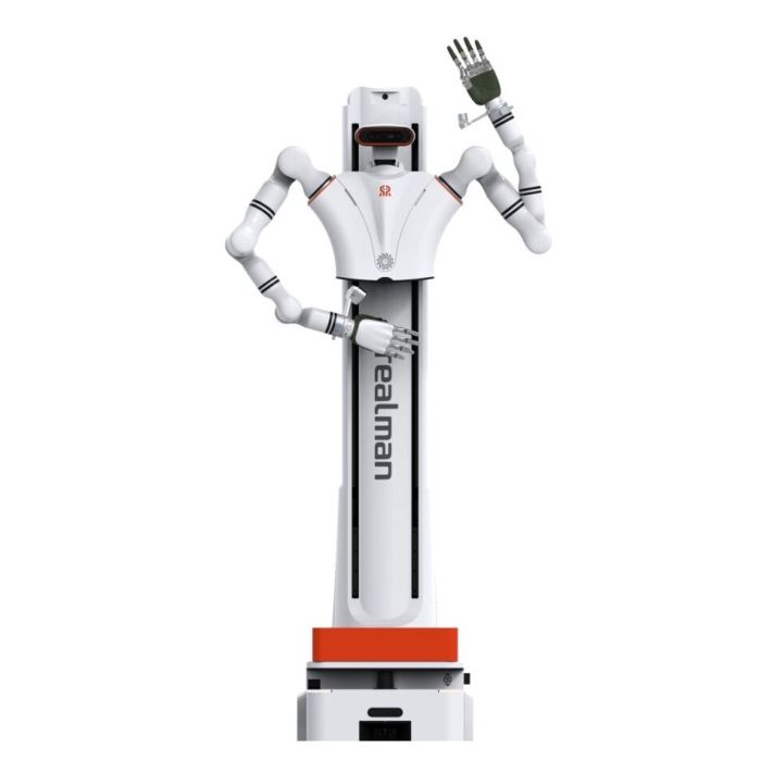Realman Robotics Dual Arm Embodied AI Development Platform (DAP-D-65)